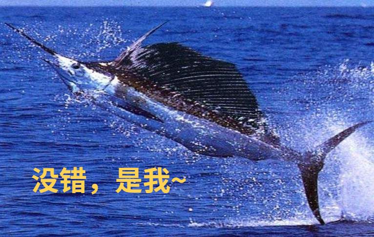 港澳新闻 第2页